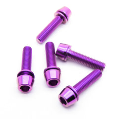 5pcs M5x20mm Titanium Cone Socket Head Hex Screw TC4 Alloy (Anodized Pink)
